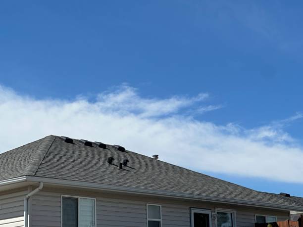 Best Metal Roofing Installation  in Butler, PA